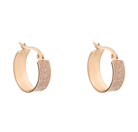 Orecchini Stroili Oro Donna in Acciaio 1691043 - 1691043